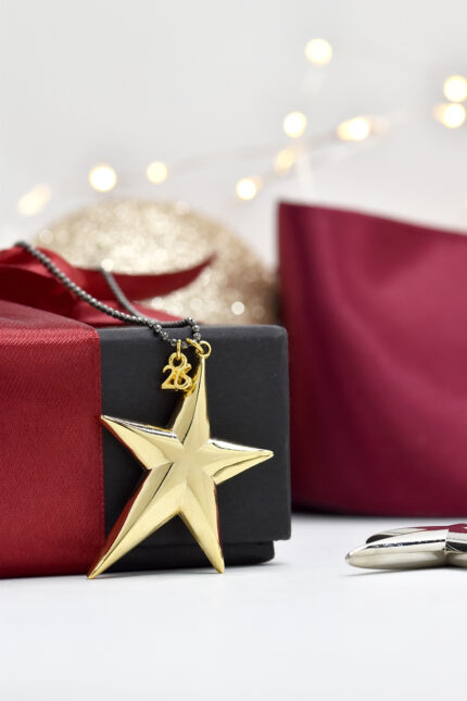 Eleven K Favorites Κολιέ γούρι 2026 αστέρι σε χρυσό ή ασημί με gunmetal αλυσίδα Eleven K Jewelry