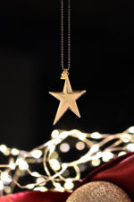 Eleven K Favorites Κολιέ γούρι 2026 αστέρι σε χρυσό ή ασημί με gunmetal αλυσίδα Eleven K Jewelry